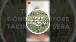 How to Consume Aloe Vera Juice | एलोवेरा जूस का सेवन कैसे करें |Benefits of Aloevera|#aloeverajuice