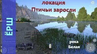 Русская рыбалка 4 - река Белая - Ерш за камнем