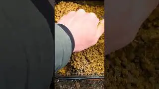 пеллетс для флэт фидера 