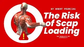 The Risk of Scap Loading for Pitchers