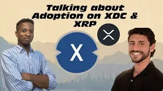 Explaining Blockchain Adoption with 
