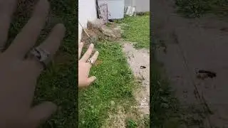 She Is A Dirty Dewalt Mower Part 4