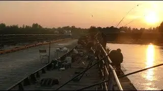рыбалка на кольцо!ловля леща язя  на кольцо подкову