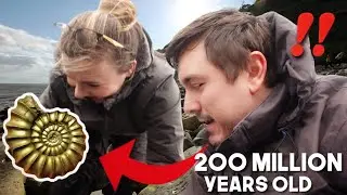 I Went FOSSIL Hunting on the Jurassic Coast of England 🦴🦕