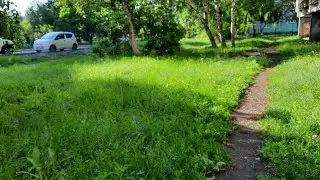 Scsrsc Forékon Ămułk De Ųlenı
