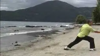 Kung Fu, Tai Chi Fan