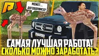 СКОЛЬКО МОЖНО ЗАРАБОТАТЬ НА ОХОТЕ? ПРИБЫЛЬНО ЛИ? - RADMIR CRMP