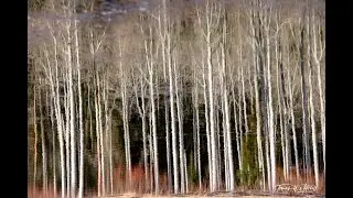 Hike to Willow Lake, Big Cottonwood Canyon Utah