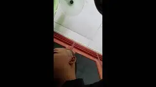 Siaran langsung Mizter Good