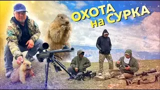 СУУРга аңчылык / БАЛЫКЧЫ / 1 км аралыкка чейин таамай атышты / Охота на сурка