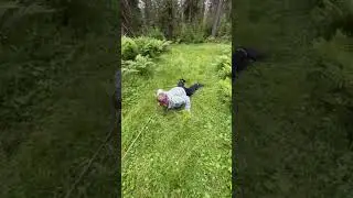 И смех и грех 😂 