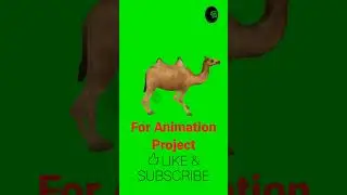 How to create Camel 🐫 walking in Green Screen 