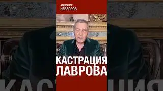 Путин — ишак, опасное признание лаврова 