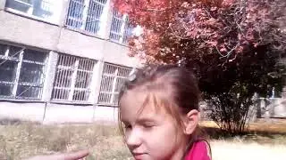 Ожидания и реальность собак