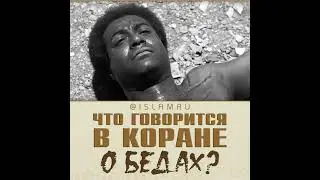 Что говорится в Коране о бедах? 