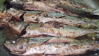 COOKING FISHFRY GALONGGONG || SMALL FISH || FOR BREAKFAST