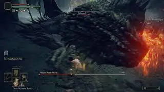 Elden Ring NG+999 Challenge