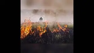 Д ПОПОВ, 22 ИЮНЯ