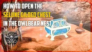 How to unlock the Selune Gilded Chest in the Owlbear Nest - Baldurs Gate 3