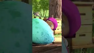 Salam dari Antartika 🧊🐧 