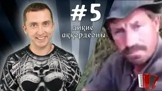Чак Норрис? (Дикие аккордеоны #5)