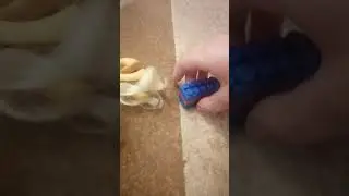 Мимимишки. Пародия. Пони