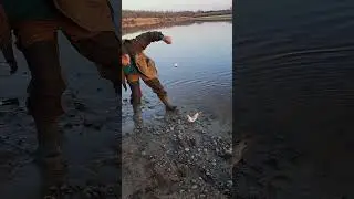 Первое мая, Первый язь! 