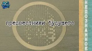 Круги на полях. Понимание скрытых предвестников будущего / НЕПОЗНАННОЕ.2023 - АЛЕКПЕРОВ Вагиф