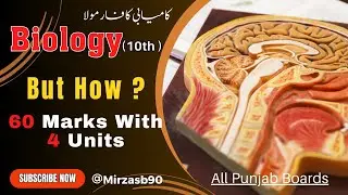 Paper Scheme for 60 Marks || Biology Class Ten || Punjab Boards || 2024 || ​⁠​⁠