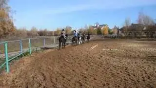 Занятие по верховой езде, аллюр рысь (ШВЕ 