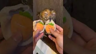 Bibib’s Love Story!❤️ 