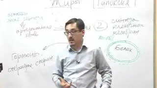 Психология мужчины: агрессия и гормон тестостерон!