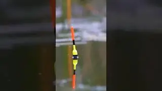 Отправь это видео тому с кем давно хотел съездить на рыбалку