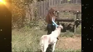C®uel women riding horse. Part-11