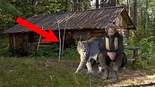 Бомж приютил дикого рысёнка, не догадываясь чем это вскоре обернется