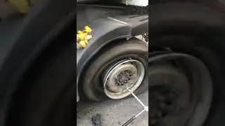 Что это за звук | прикол