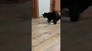 18 июня 2024 г.