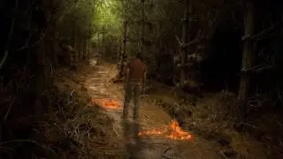 Fear of Jungle | After Effects