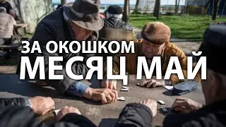 ЗА ОКОШКОМ МЕСЯЦ МАЙ (Кавер/Cover) @ Сергей Равес