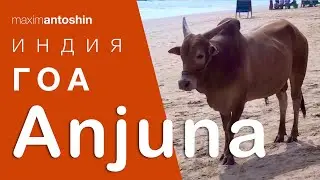 Индия. Гоа. Анджуна. India. Goa. Anjuna.