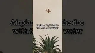 ЛЕСНЫЕ ПОЖАРЫ 🔥