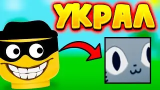 Стал Скамером На 24 ЧАСА в PET SIMULATOR! Скамлю на ХУГА 
