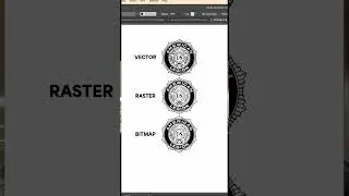 Vector vs Raster vs Bitmap 