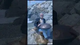 il suono dei gabbiani. Franco Speranza.