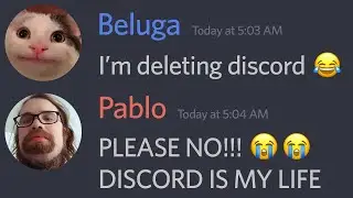When Beluga Deletes Discord...