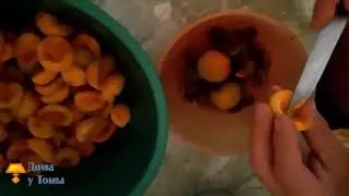 Очень простой способ вытащить косточки из абрикоса!
