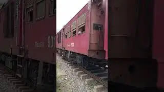 #short
