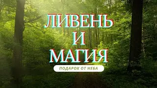 "Ливень и магия: Подарок от неба"