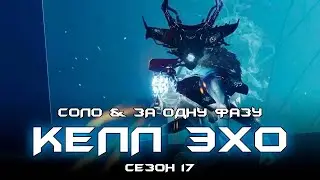 Соло Келл Эхо за одну фазу - подземелье Откровение. [Destiny 2]