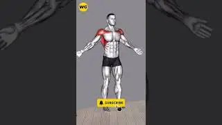 ➜ Rapid Results ➜ 10 MIN Standing Abs Workout for Men to Torch Belly Fat! Exercise #4